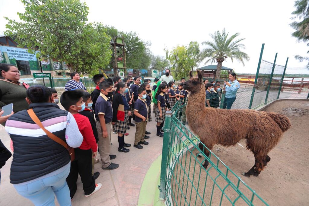 Alumnos de primaria aprenden sobre cultura vial en Nuevo Laredo