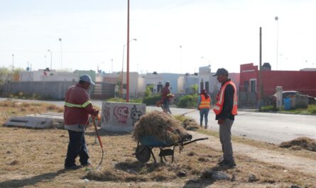 Brinda Gobierno de Nuevo Laredo apoyo de limpieza de terrenos particulares