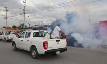 Realizarán semana de fumigación en colonias del poniente de Nuevo Laredo