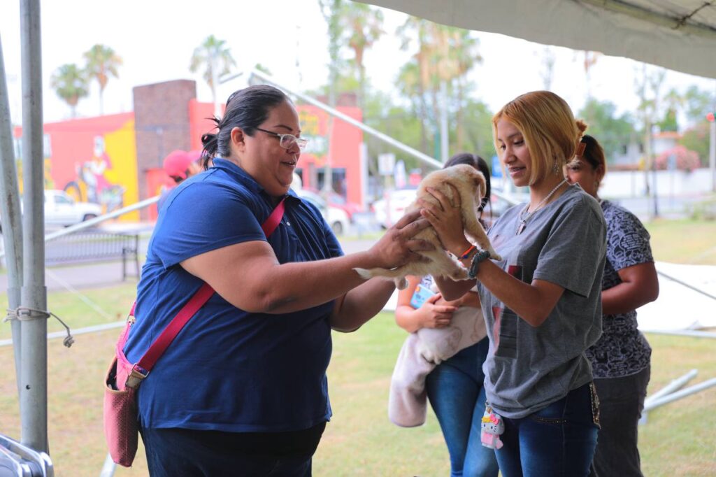 Acogen familias a 29 mascotas durante la Feria de la Adopción en Nuevo Laredo