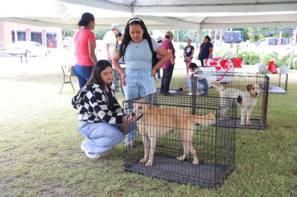 Acogen familias a 29 mascotas durante la Feria de la Adopción en Nuevo Laredo