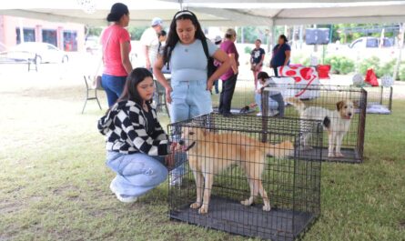 Acogen familias a 29 mascotas durante la Feria de la Adopción en Nuevo Laredo