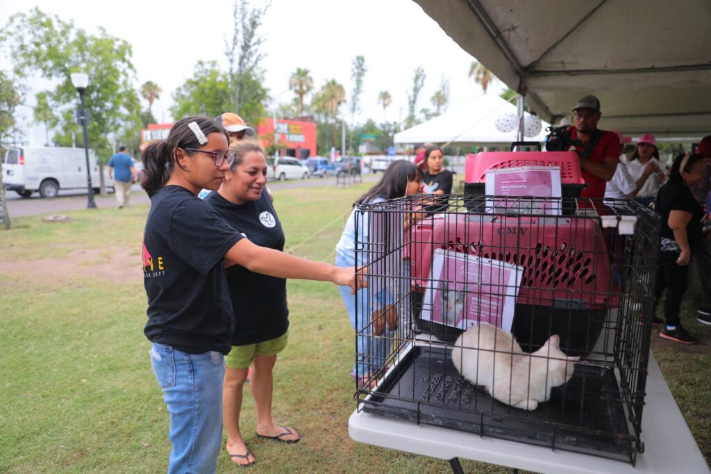 Acogen familias a 29 mascotas durante la Feria de la Adopción en Nuevo Laredo