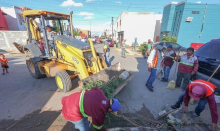 Campaña de descacharrización llega a la Valles de Paraíso, de Nuevo Laredo