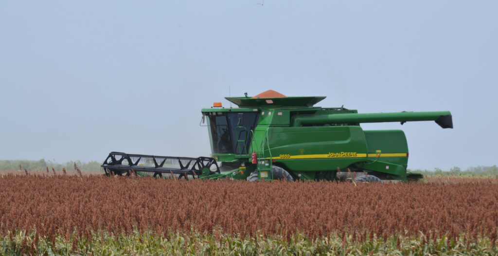 Pronóstico positivo para el campo en Tamaulipas gracias a las lluvias