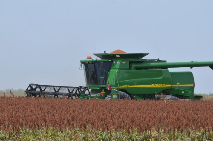 Pronóstico positivo para el campo en Tamaulipas gracias a las lluvias