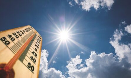 Continúa el calor en Tamaulipas