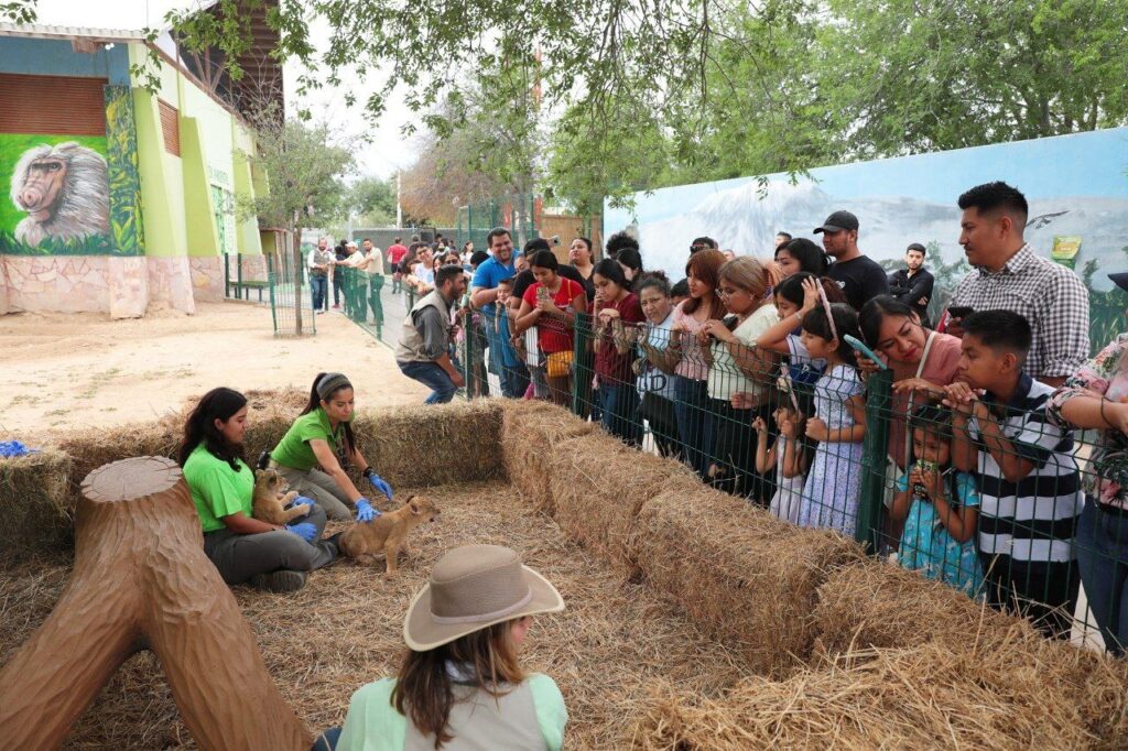 Regalan entradas para Zoológico y Acuario de Nuevo Laredo a cambio de material reciclable