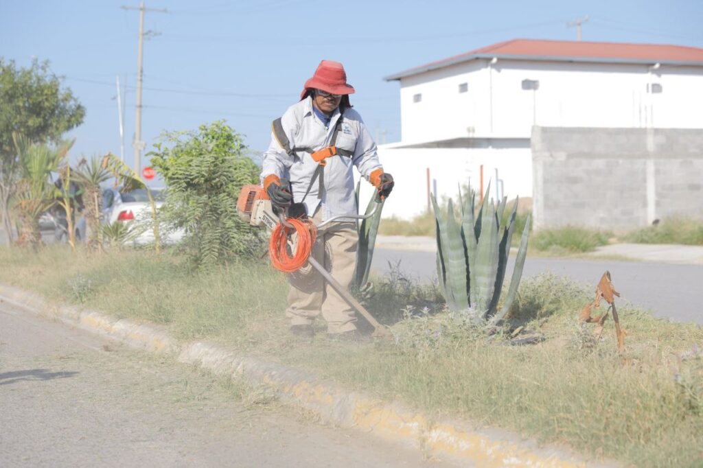 Realiza Gobierno de Nuevo Laredo descacharrización en Reservas Territoriales