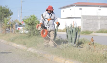 Realiza Gobierno de Nuevo Laredo descacharrización en Reservas Territoriales