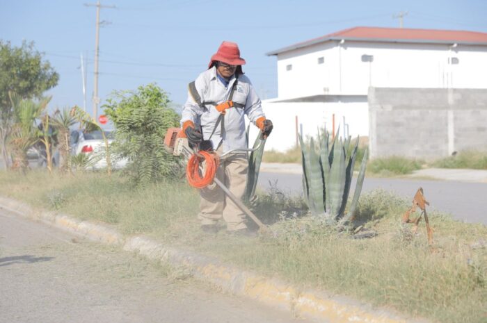 Realiza Gobierno de Nuevo Laredo descacharrización en Reservas Territoriales