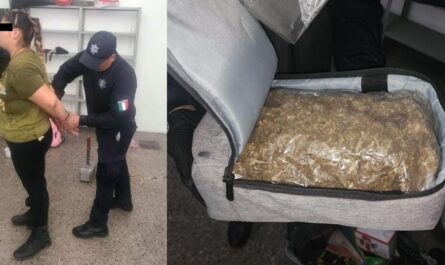 Detienen a mujer en la central de El Mante con mochila cargada de marihuana