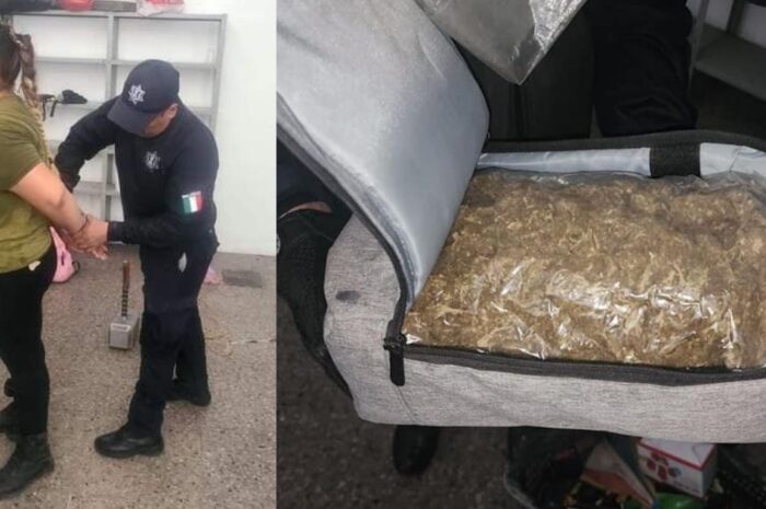 Detienen a mujer en la central de El Mante con mochila cargada de marihuana