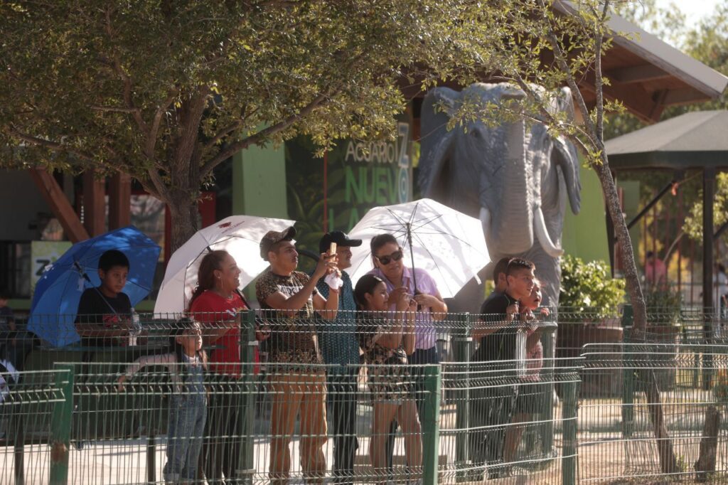 Modifican horario por vacaciones de verano en el Zoológico de Nuevo Laredo