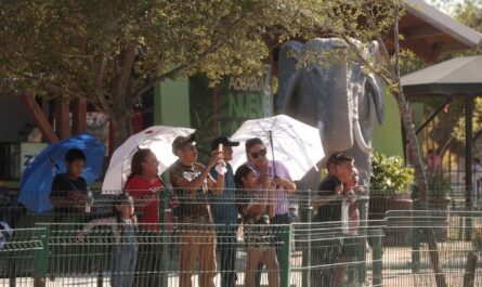 Modifican horario por vacaciones de verano en el Zoológico de Nuevo Laredo