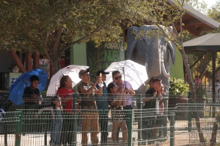 Modifican horario por vacaciones de verano en el Zoológico de Nuevo Laredo