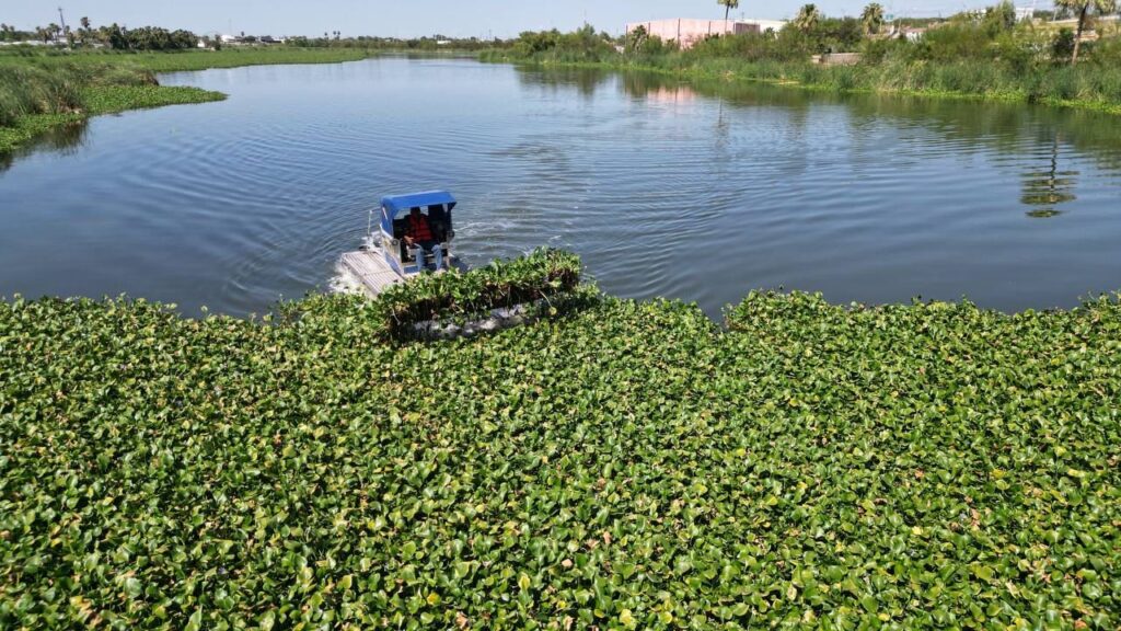 Presenta Gobierno de Nuevo Laredo plan de rescate ambiental; arrancan en el Laguito