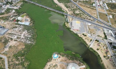 Presenta Gobierno de Nuevo Laredo plan de rescate ambiental; arrancan en el Laguito