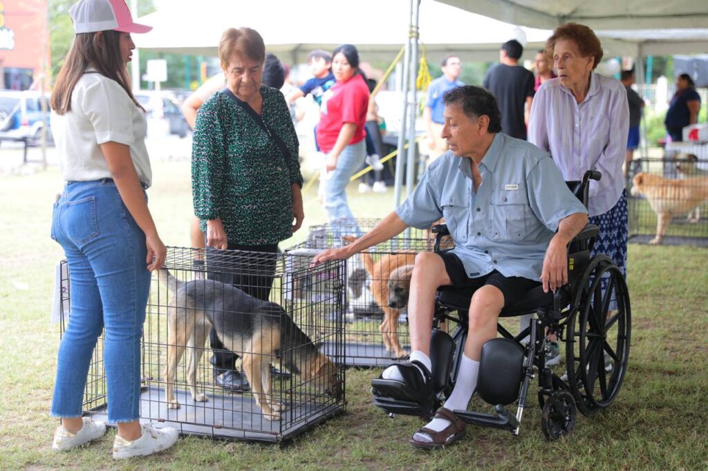 Realizarán Mini Feria de Adopción Canina y Felina en Nuevo Laredo