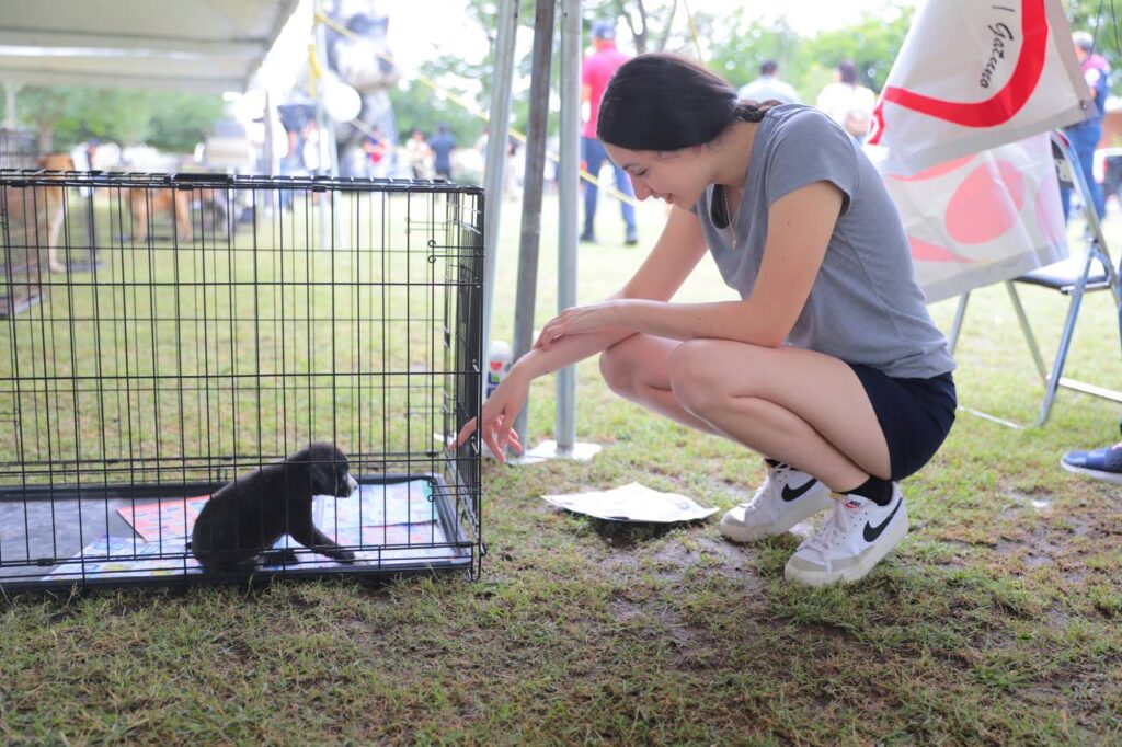 Realizarán Mini Feria de Adopción Canina y Felina en Nuevo Laredo