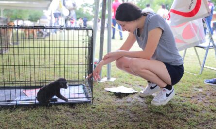 Realizarán Mini Feria de Adopción Canina y Felina en Nuevo Laredo