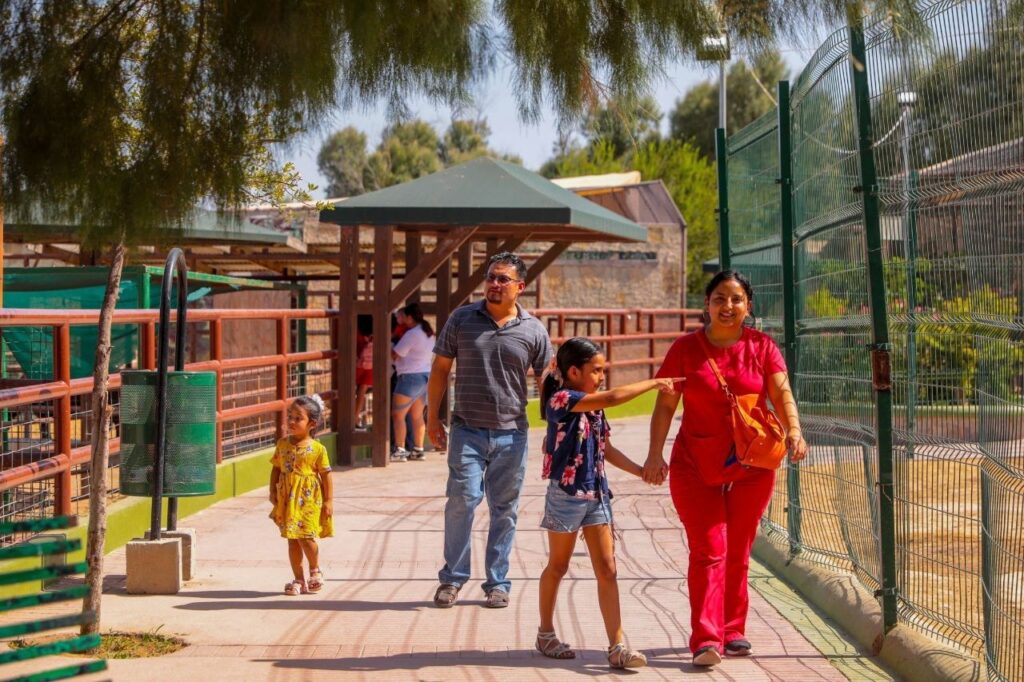 Aprovechan neolaredenses entrada gratuita al Zoológico