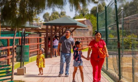 Aprovechan neolaredenses entrada gratuita al Zoológico