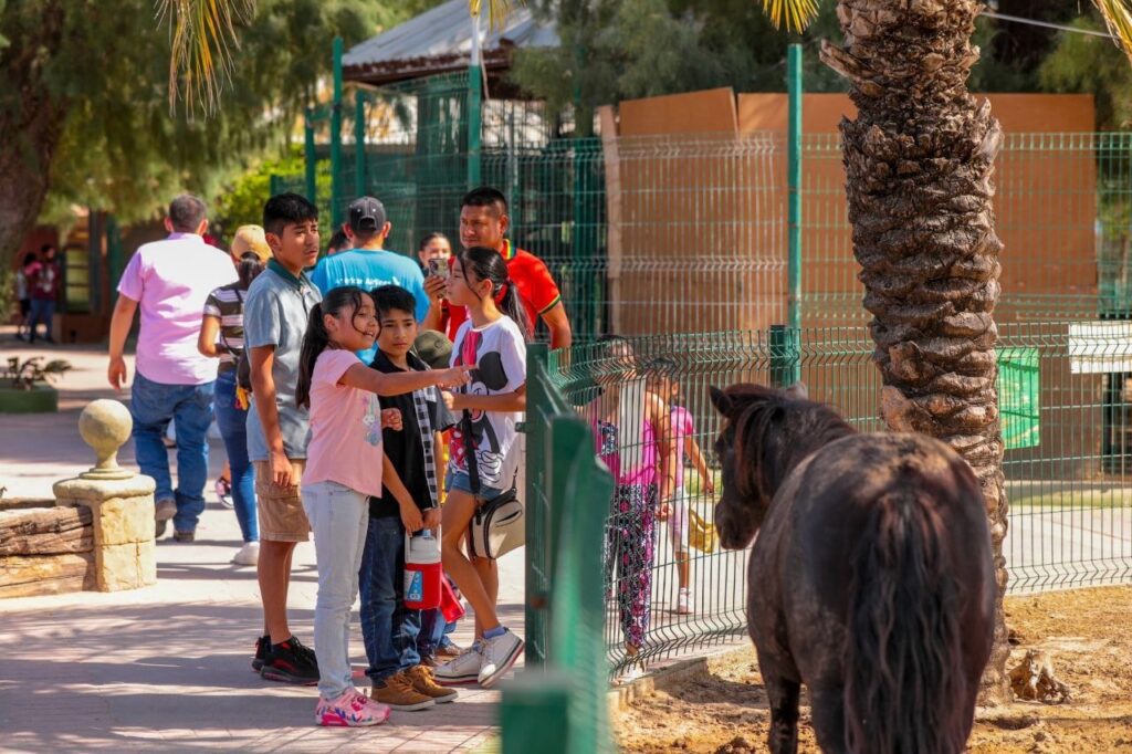 Aprovechan neolaredenses entrada gratuita al Zoológico