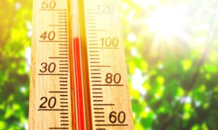 La canícula llega a Tamaulipas con temperaturas de hasta 40 grados