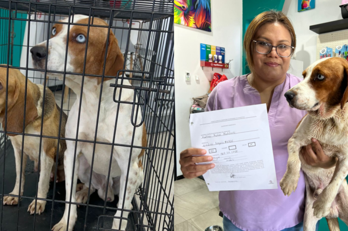 Exhorta Nuevo Laredo a denunciar casos de maltrato animal