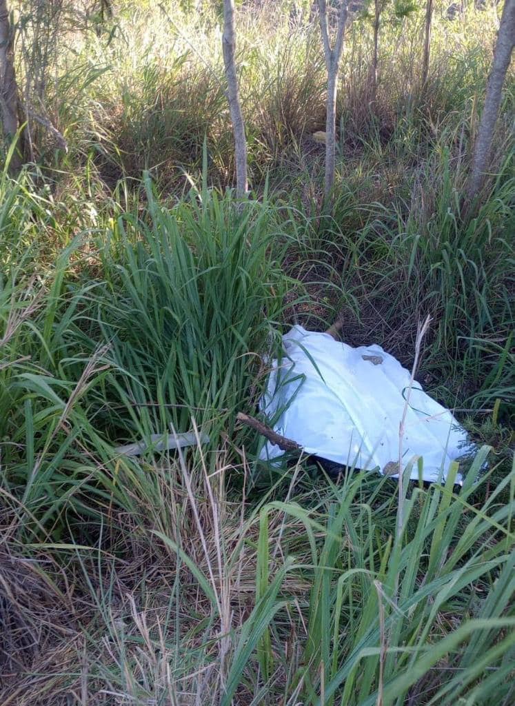 Choque con tráiler deja dos muertos y dos heridos en la carretera Tampico-Mante