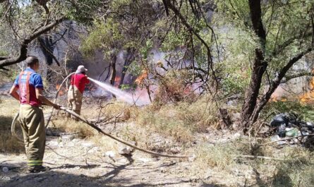 Incendios en zonas de pastizales se multiplican en Ciudad Victoria