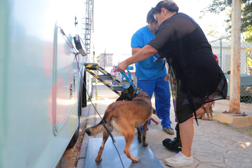 Inició cuarta campaña gratuita de esterilización canina y felina en Nuevo Laredo