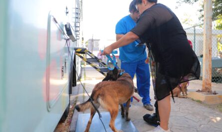 Inició cuarta campaña gratuita de esterilización canina y felina en Nuevo Laredo