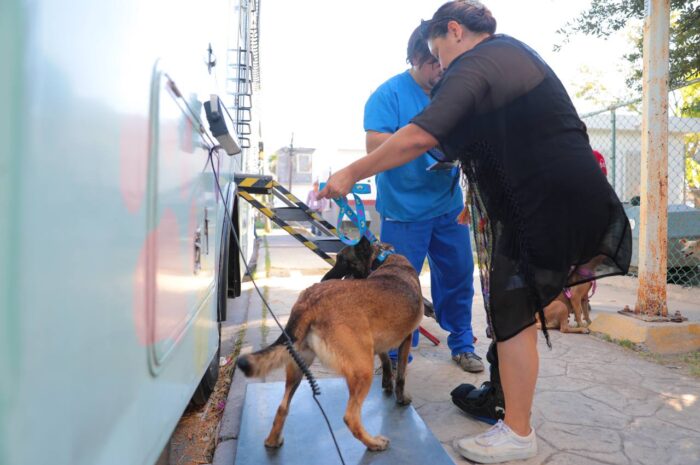 Inició cuarta campaña gratuita de esterilización canina y felina en Nuevo Laredo