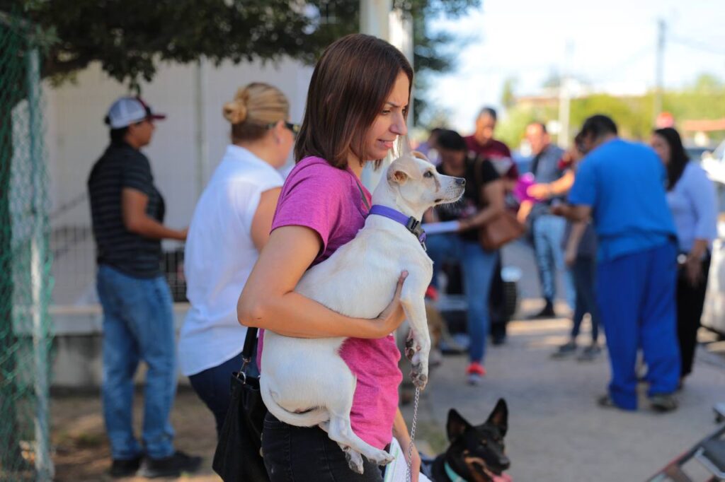 Inició cuarta campaña gratuita de esterilización canina y felina en Nuevo Laredo