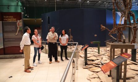 Renovarán experiencia del Museo de Historia Natural de Nuevo Laredo