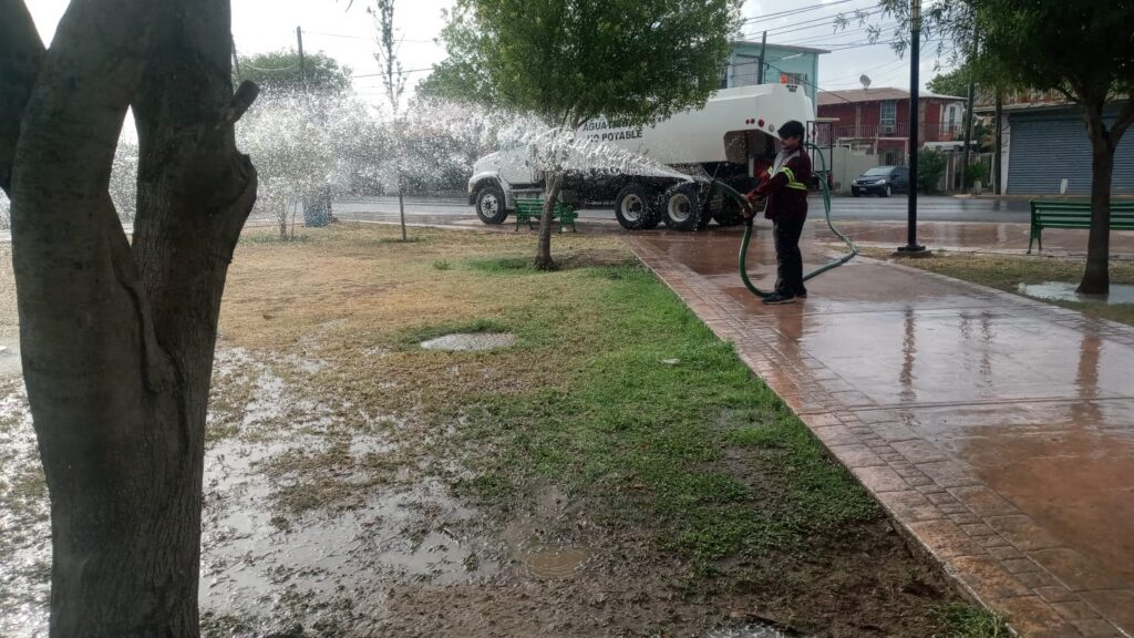 Protege Nuevo Laredo áreas verdes con riego matutino y nocturno