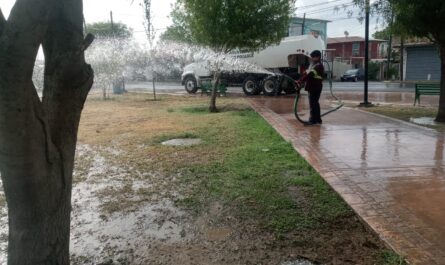 Protege Nuevo Laredo áreas verdes con riego matutino y nocturno