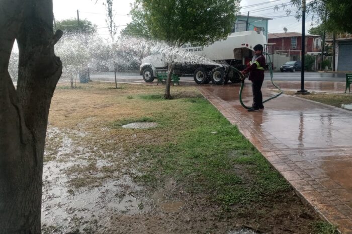 Protege Nuevo Laredo áreas verdes con riego matutino y nocturno