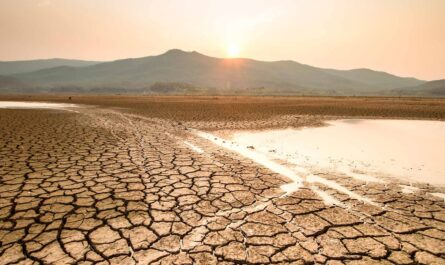 Crisis de sequía causa alarma en Tamaulipas: suministro de agua en riesgo