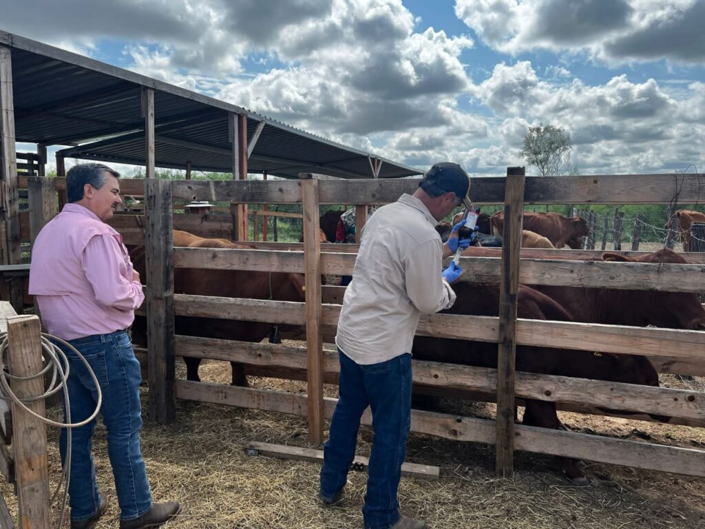 Trabaja Desarrollo Rural en conjunto con ejidatarios y productores locales