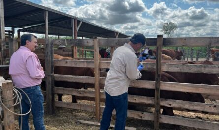 Trabaja Desarrollo Rural en conjunto con ejidatarios y productores locales