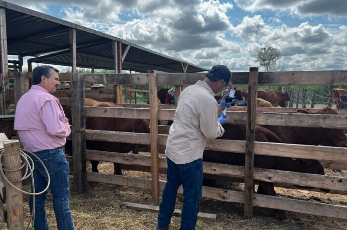 Trabaja Desarrollo Rural en conjunto con ejidatarios y productores locales