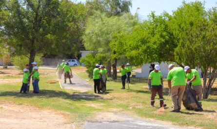 Se suma sector privado a plan de rescate ambiental en El Laguito