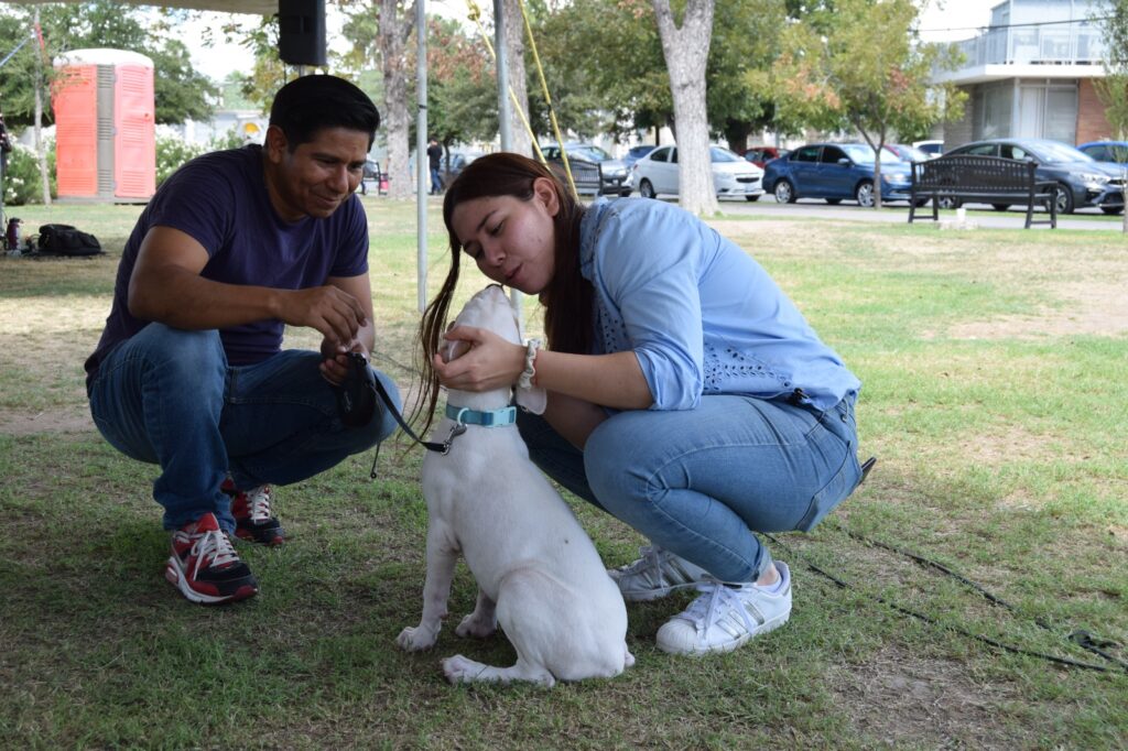 Realizan Cuarta Feria de Adopciones en Nuevo Laredo