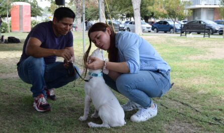 Realizan Cuarta Feria de Adopciones en Nuevo Laredo