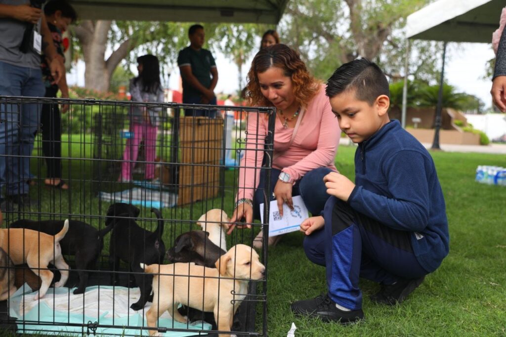 Se unen Gobierno de Nuevo Laredo y grupos rescatistas para llevar a cabo Feria de Adopción