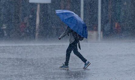 Pronóstico de lluvias intensas en Tamaulipas debido a los remanentes de Lidia