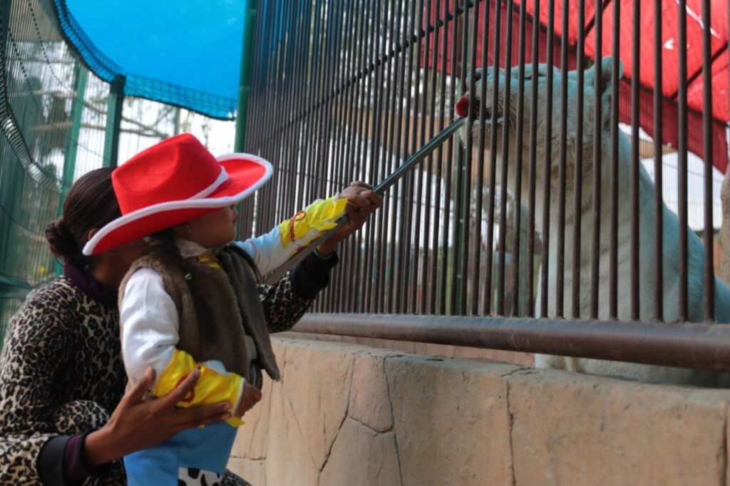 Niños festejan Halloween en el Zoológico de Nuevo Laredo